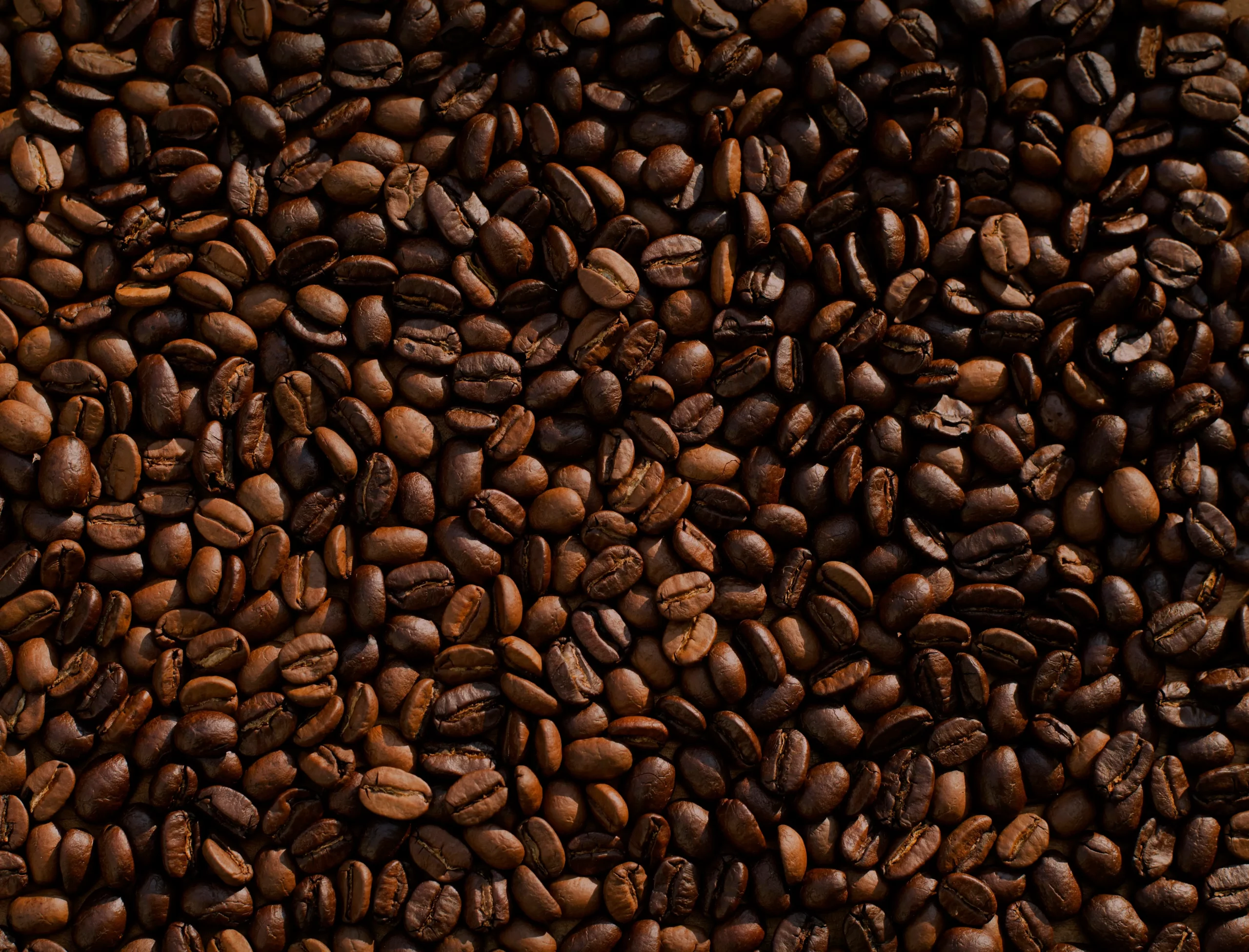 How to Choose the Perfect Coffee Beans